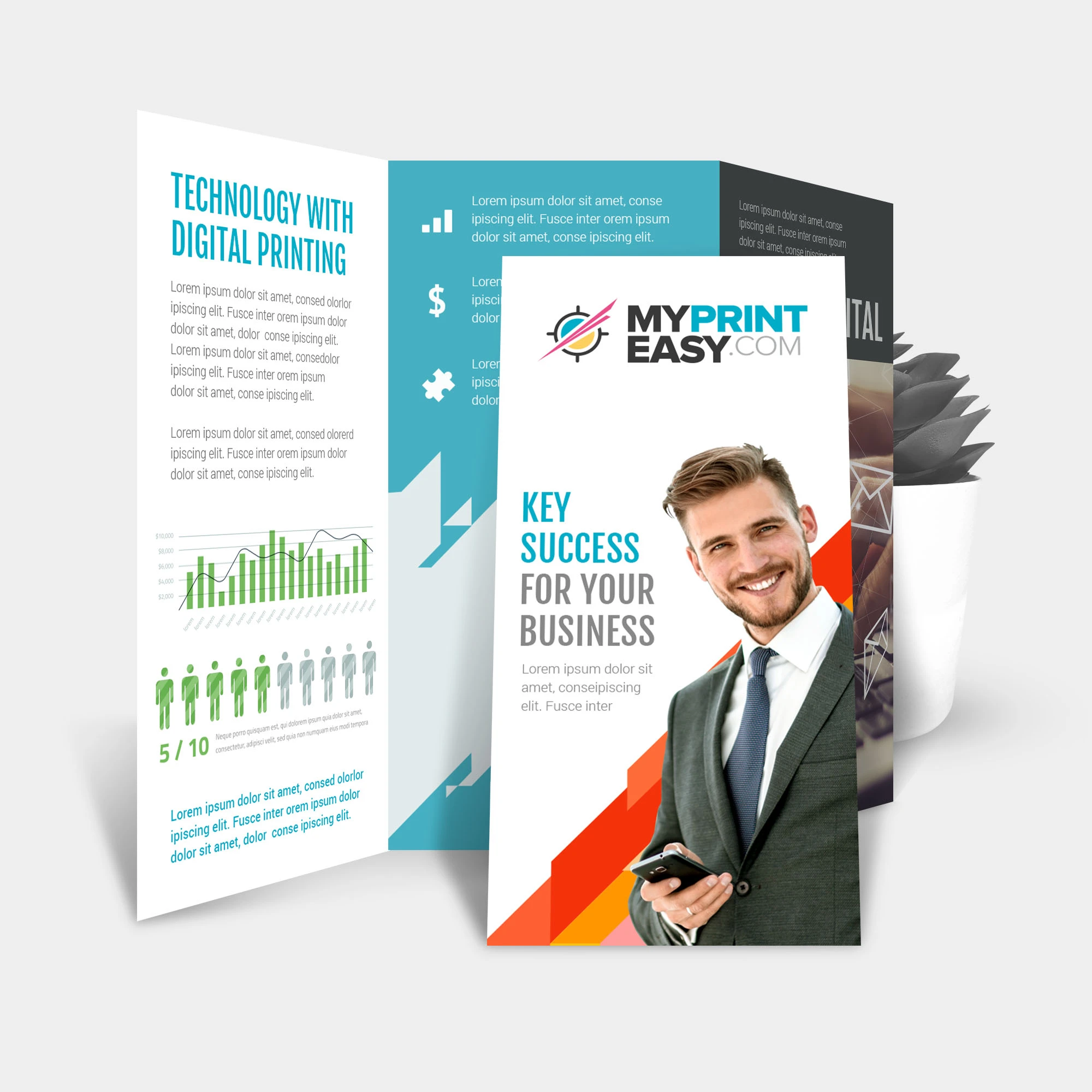 Printed materials including brochures, business cards, and banners