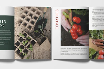 Catalogs printed and saddle stitched pages.